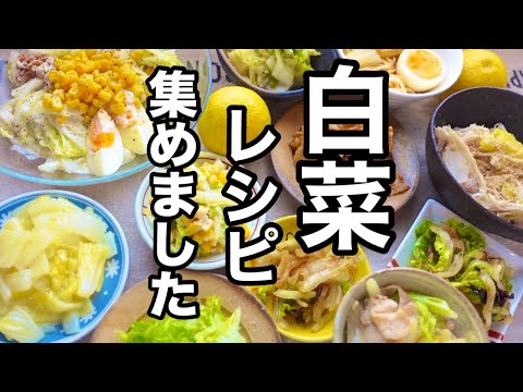 【白菜１６品】今日どれ作る？超保存版！時短簡単レシピ｜白菜大量消費