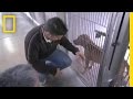 Understanding Dog Behavior and Energy