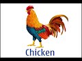 Understanding Vietnamese Animal Names
