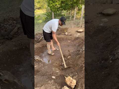 Montando um lago para os marrequinhos maior! 🦆 part 1 #shorts