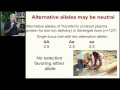 Junk DNA and Genetic Variation