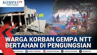 Warga Korban Gempa NTT Bertahan di Pengungsian, Korban Berharap Bantuan Makanan & Air Bersih