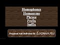 Homonyms, Prefixes, and Phrases