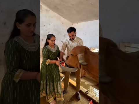 Jay Dwarkadhish♥️🙏#shravanseva #cow #youtubeshorts #vardan #trending #viralvideo