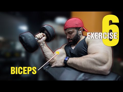 "Shape Your Biceps: The 5 Most Effective Exercises!"