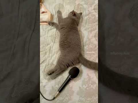 The end #funny #funnyclips #funnyvideo #funnyfails #fail #funnfails