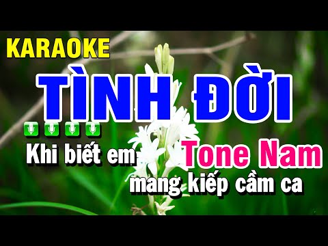 Karaoke Tình Đời ( Kiếp Cầm Ca ) Nhạc Sống Tone Nam | Beat Huỳnh Anh