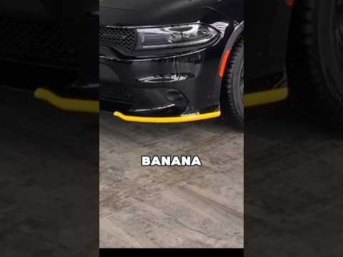 Car Trends That Make No Sense 🤦🏾‍♂️