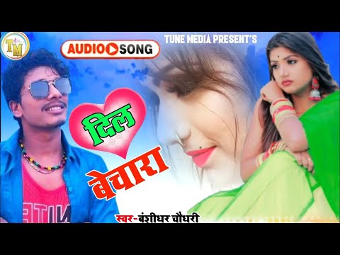 बंशीधर चौधरी 2021   दिल बेचारा   bansidhar chaudhary new song 2024  #bansidhar chaudhary new song