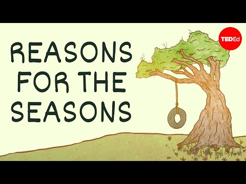 Reasons for the seasons四季變化的原因 - Rebecca Kaplan - YouTube(5:20)