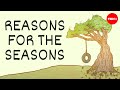 Exploring the Science Behind Earth's Seasons