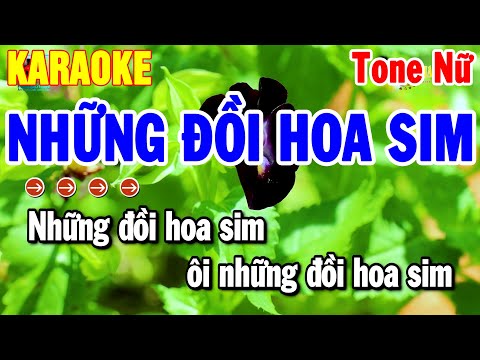 Karaoke Những Đồi Hoa Sim Tone Nữ Nhạc Sống Dễ Hát Nhất 2025 | Thanh Hải
