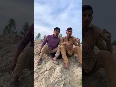 Gorilla Catches Football and Takes Off🦍 #funny #viral #foryou #foryoupage #funnyvideos