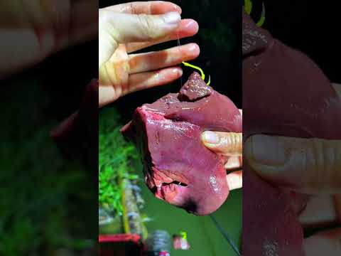 Amazing Fishing Skill🤯Hook Fishing 🎣 | #fishing #fish