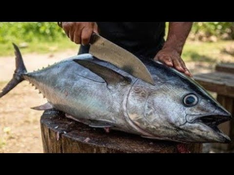 How to Cut Fish Perfectly Every Time – Live