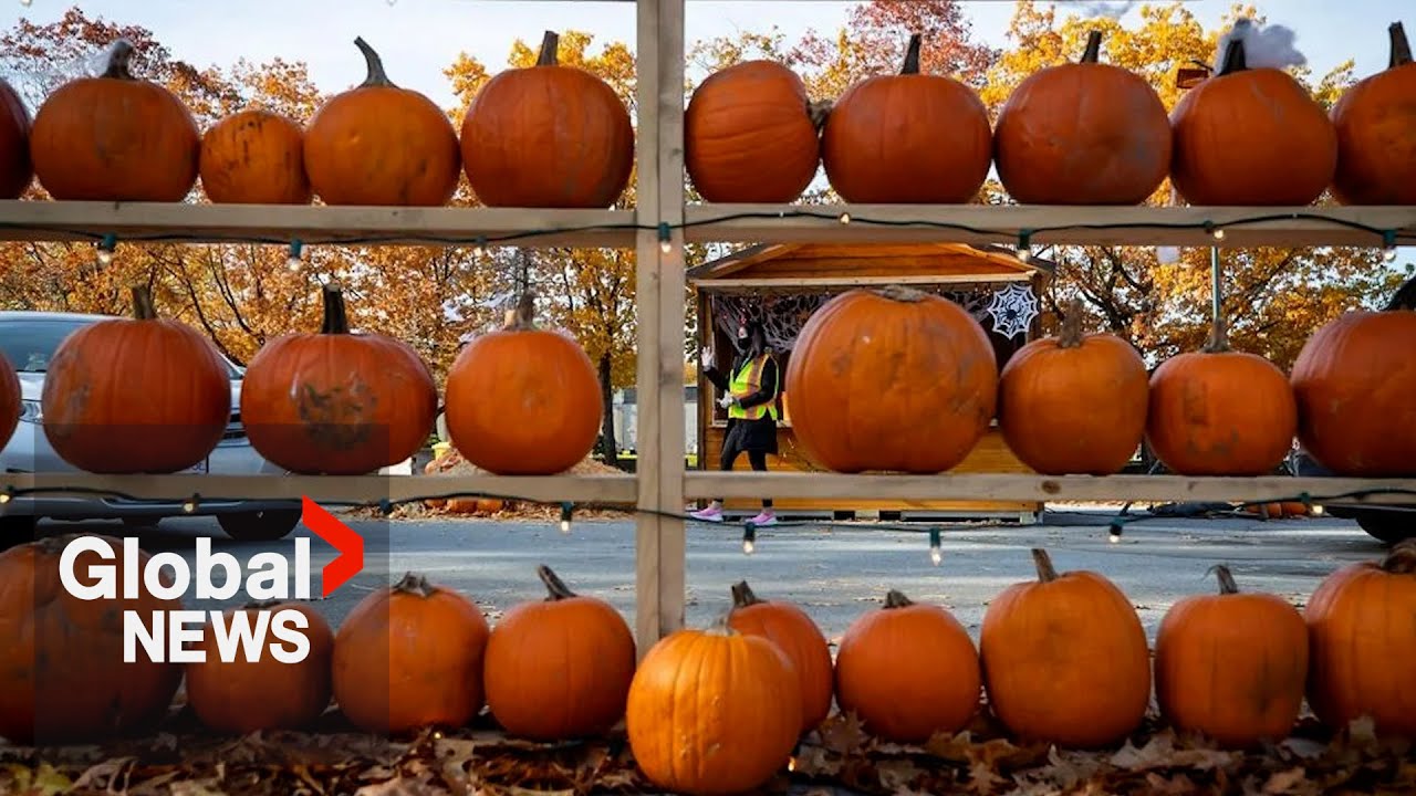 Economic woes are not deterring Canadians from spending more on Halloween￼