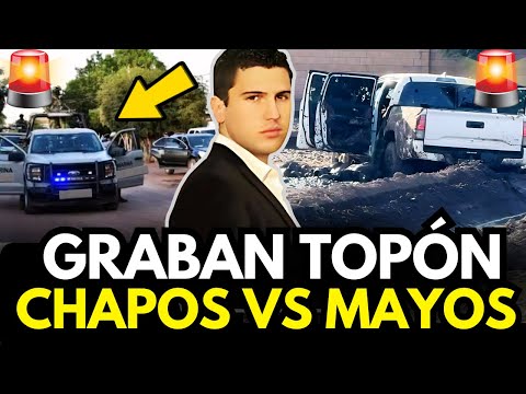 ÚLTIMA HORA🚨 Chapitos vs Mayos: Graban Violento 'Topón' en Sinaloa, ¿Qué Sucede Ahora?