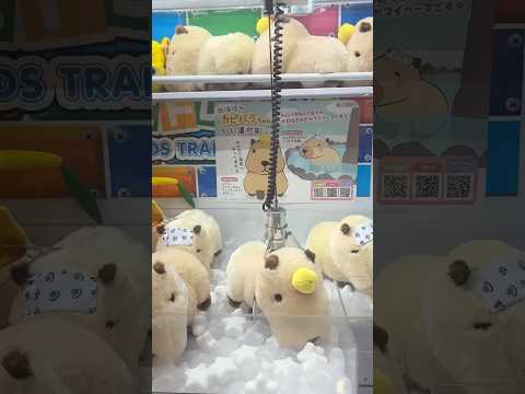 വീണ്ടും ഒരു  200 Yen  😌|Japan Malayalam Vlog||Japan Life|Japan claw machine#viralshorts
