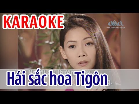 Hái Sắc Hoa Tigôn KARAOKE – Diệp Thanh Thanh | Tone Nữ | Asia Karaoke Beat Chuẩn