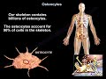 Osteocyte Functions and Bone Remodeling