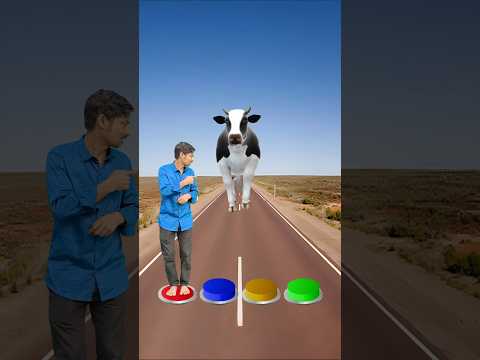 I Jump on button to cow, monkey, dog & cat - Funny vfx magic