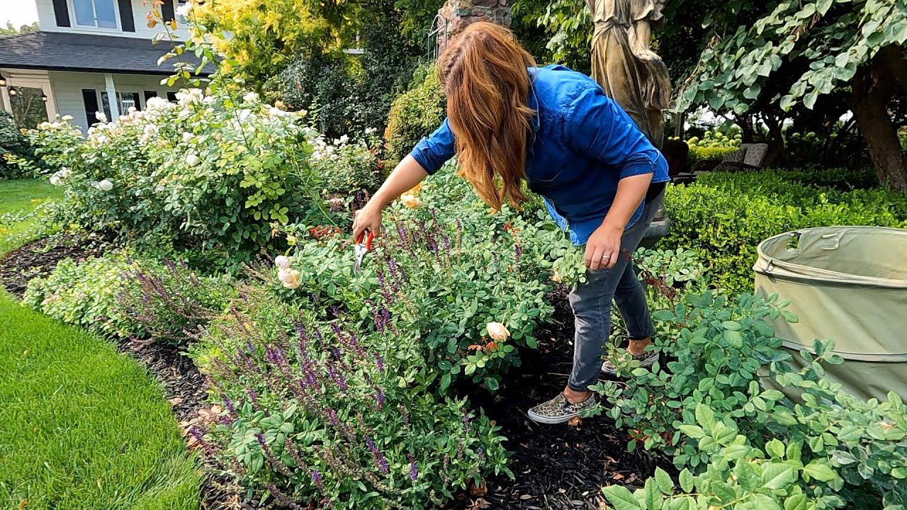 How We Maintain the Garden by Using Zones! TUESDAY Zone!