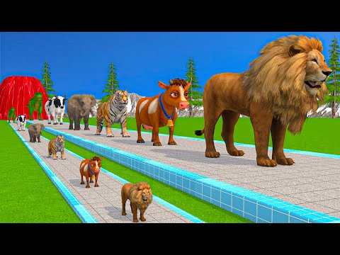 Paint & Animals Cow,Gorilla,Elephant,Giraffe,Tiger,Lion, Fountain Crossing Transformation Cartoon