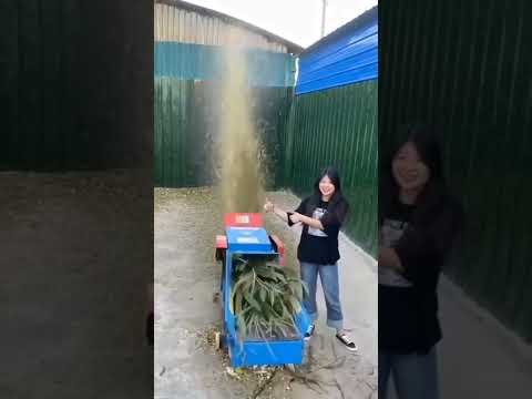 Clip trên DOUYIN triệu view (P209) #shorts