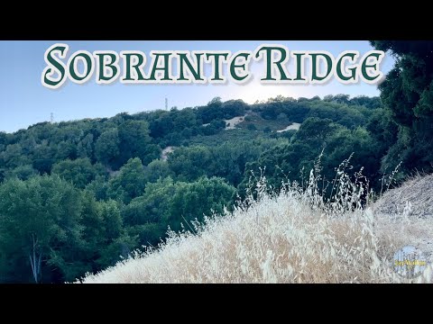 Nature Walk 🌳🌲| El Sobrante, California 🇺🇸 [4K]