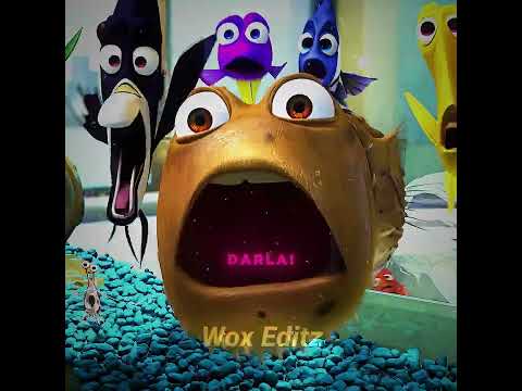 Gill Saved Out. ‶Nemo. ! 🥺💔 | #shortsfeed #animation
