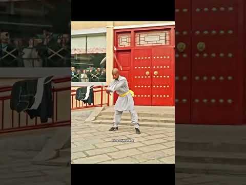 Little Monk challenges Speed ๐