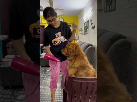 🥹🥹 #puppy #shorts