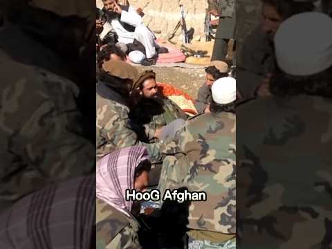 Mullah Sangeen Fateh attitude status #shorts #taliban #viral