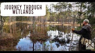 Journey through Wetlands  │Rabarännak