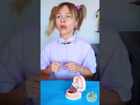 Fun Dental Floss Tutorial! 🦷 Keep Smiling Bright! ✨ #HealthyHabit