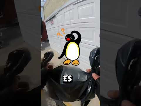 Vean a estas clientas jajajaja (sigan a kazanova) #motos #bikers #motovlog