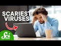 Understanding Computer Viruses and Internet Security