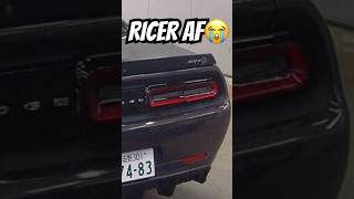 WEIRD HELLCAT AT AUCTION😂