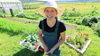 Daily BULK Garden Harvest →Preserved! | Canning, Freezing & Freeze-Drying