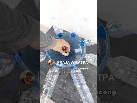 Memanfaatkan galon bekas menjadi alat masak berguna untuk guling ayam #daurulang #guling #tutorial