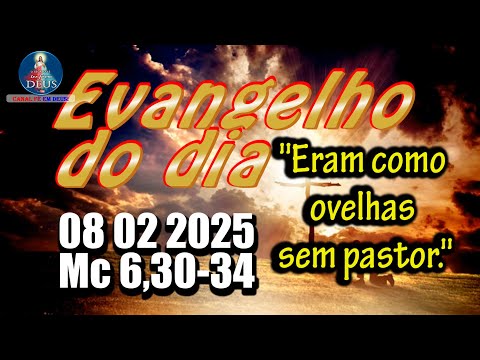 EVANGELHO DO DIA 08/02/2025 COM REFLEXÃO. Evangelho (Mc 6,30-34)