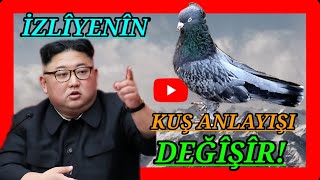 Satılık Güvercin! Bunlar adamin kuş anlayişini değiştirir
