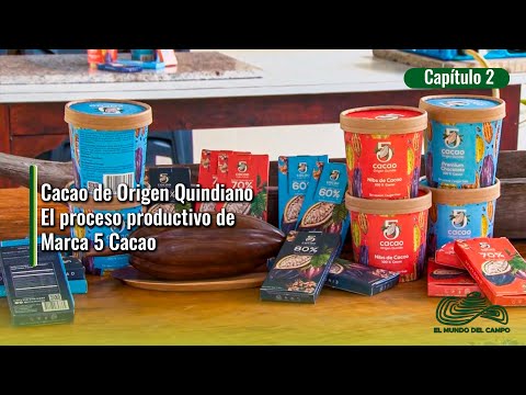 Cacao de Origen Quindiano El proceso productivo de Marca 5 Cacao 2