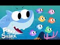 Little Fish Group Activities