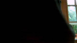 100_4253.mov