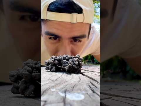 ¿QUÉ SON ESTAS COSAS QUE APARECEN EN EL JARDÍN?