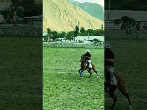Freestyle polo Chitral #districtchitral #chitral #dance #polo #chitralidol #mountains #polomatch