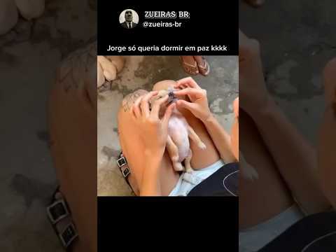 acorda Jorge kkkkk #memes #shorts