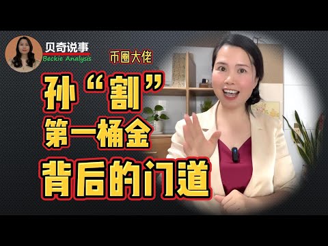 The Money Making Secrets Behind The Founder of A Cryptocurrency TRON | 币圈大佬孙“割”的第一桶金背后的门道