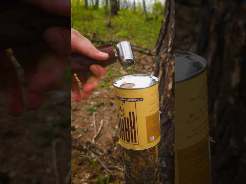 Fine Technology in the wilderness #survival #lifehacks #bushcraft